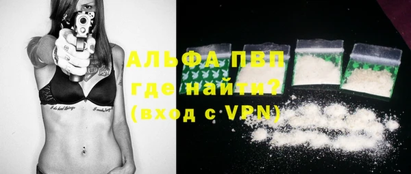 ешки Аркадак