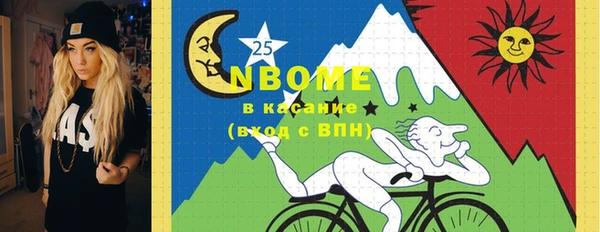 хмурый Дегтярск